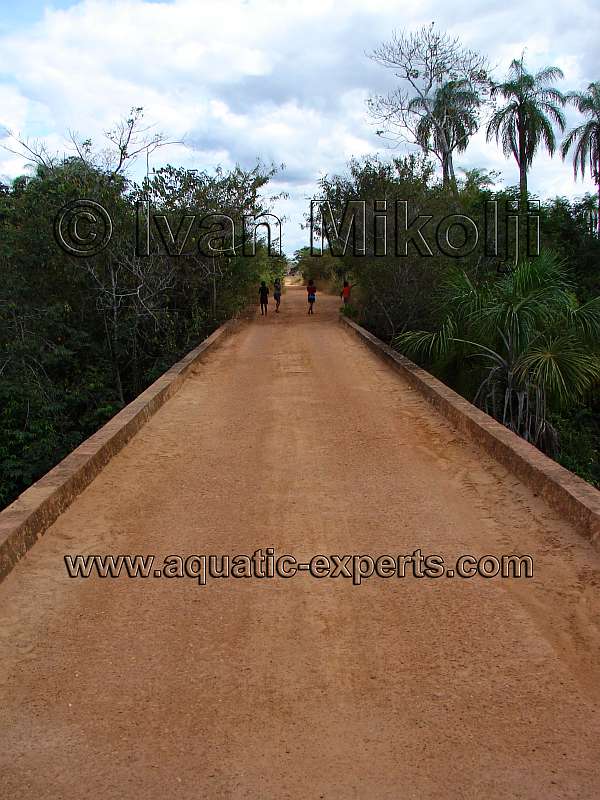 río Guaniamito bolivar